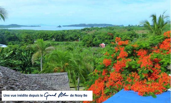 Le Flamboyant Du Grand Bleu Nosy Be Madagascar